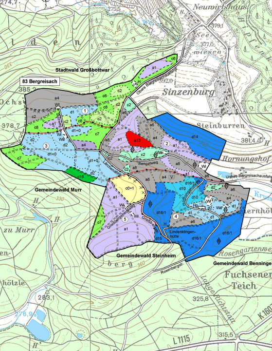 Kartografische Abbildung